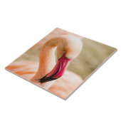 Carreau Un Beau Flamant rose Rose (Côté)