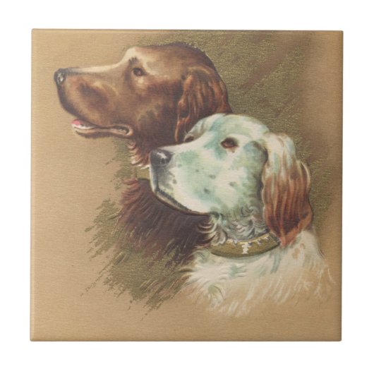 Carreau Un brun et un chien blanc (Devant)