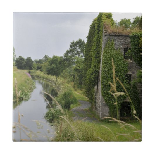 Carreau Un canal irlandais (Devant)