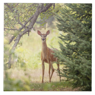 Carreau Un cerf solitaire