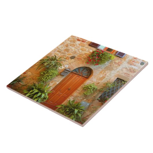 Carreau Un chat cherche l'entrée chez lui à Pienza, en Ita (Côté)