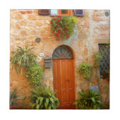 Carreau Un chat cherche l'entrée chez lui à Pienza, Italie (Devant)