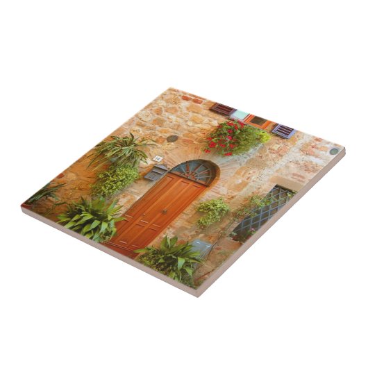 Carreau Un chat cherche l'entrée chez lui à Pienza, Italie (Côté)