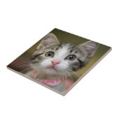Carreau Un chaton mignon aux yeux verts (Côté)