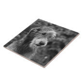Carreau Un chien dehors (Côté)
