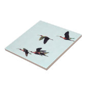 Carreau Un coin d'imbéciles en vol (Côté)