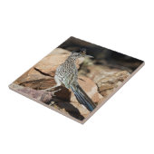 Carreau Un coureur de route interrompt momentanément sa re (Côté)