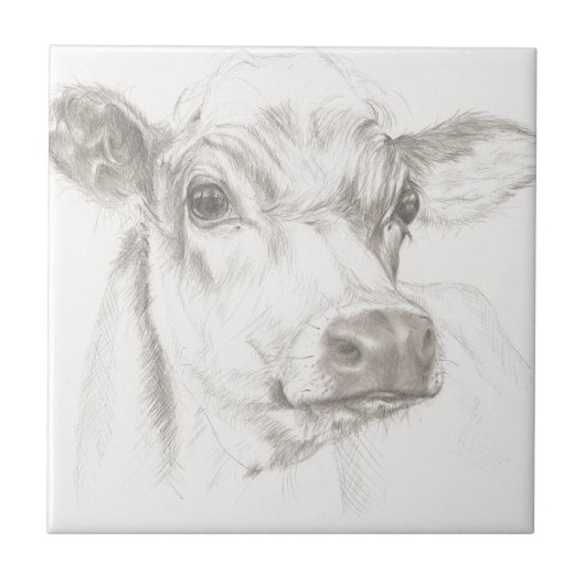 Carreau Un dessin d'une jeune vache (Devant)