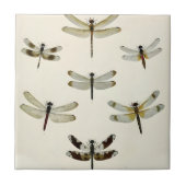 Carreau un essaim de libellules rétro (Devant)