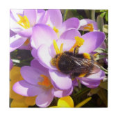 Carreau Un goût de printemps ~ Carrelage en céramique (Devant)