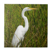Carreau Un héron blanc dans le marais (Devant)