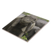 Carreau Un jeune éléphant africain (africana de Loxodonta) (Côté)