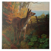 Carreau Un Joli Cerf En Forêt (Devant)