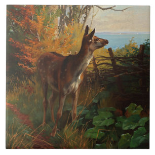 Carreau Un Joli Cerf En Forêt