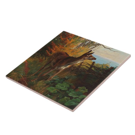 Carreau Un Joli Cerf En Forêt (Côté)