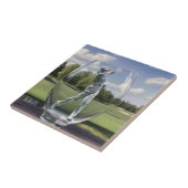 Carreau Un Joueur De Golf Dans Un Parceur De Verre Avec Pa (Côté)