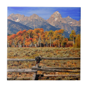 Carreau Un moment au Wyoming en automne