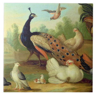 Carreau Un paon, colombes, poulets et un geai en parc