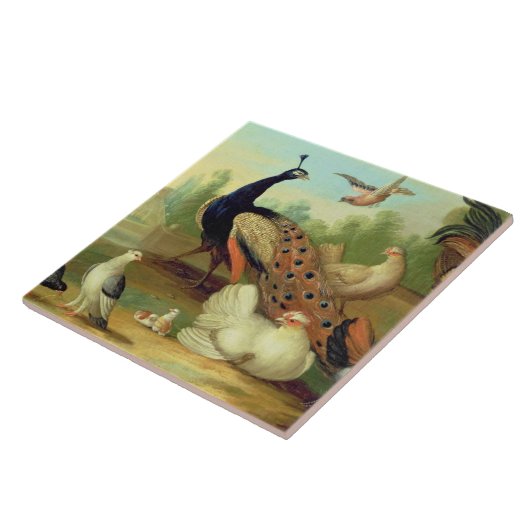 Carreau Un paon, colombes, poulets et un geai en parc (Côté)