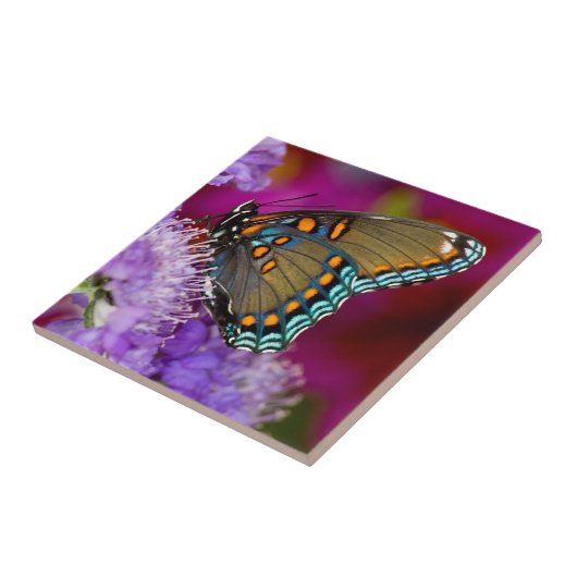 Carreau Un papillon à épicéa épaisse (Côté)