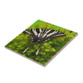 Carreau Un papillon à queue noire nord-américain (Côté)