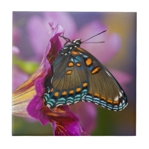 Carreau Un papillon swallowtail