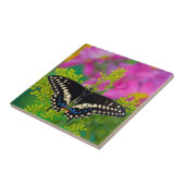 Carreau Un papillon swallowtail atterrissant (Côté)