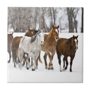 Carreau Un paysage hivernal de course