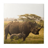 Carreau Un Rhino avec son bébé (Devant)