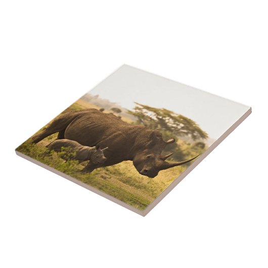 Carreau Un Rhino avec son bébé (Côté)