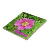 Carreau Un Rose sauvage - Idaho (Côté)