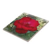 Carreau Un rose solitaire (Côté)