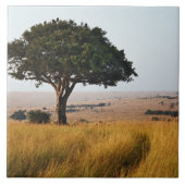 Carreau Un seul acacia dans les plaines herbeuses, Masai M (Devant)