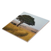 Carreau Un seul acacia dans les plaines herbeuses, Masai M (Côté)