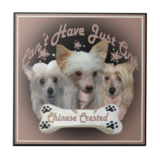 Carreau Un seul carrelage pour les Chinois arrêtés (Devant)