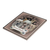 Carreau Un seul carrelage pour les Chinois arrêtés (Côté)