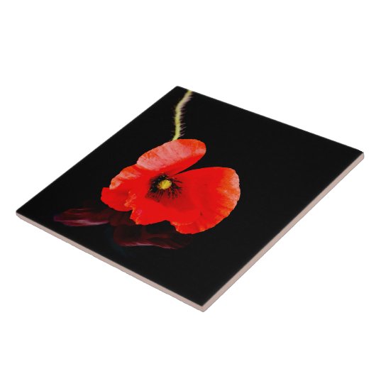 Carreau Un seul pavot rouge en noir (Côté)