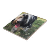 Carreau Un tuile en céramique de Terrier tibétain (Côté)