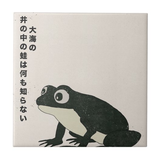 Carreau Une grenouille dans un puits ne connaît rien de la (Devant)