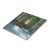 Carreau Une longue journée de marche Carrelage décoratif / (Côté)