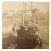 Carreau Une machine égyptienne d'irrigation sur les (Devant)