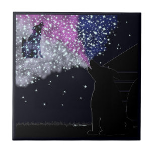 Carreau Une nuit d'été avec Sirius