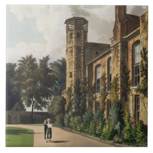 Carreau Une partie de l'université de St Peter