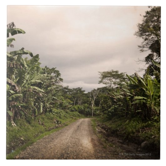 Carreau Une route à distance de jungle (Devant)