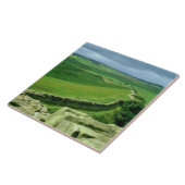 Carreau Une section du mur de Hadrian, ANNONCE du 2ème (Côté)