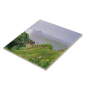 Carreau Une vue d'Ailsa Craig et l'île d'Arran, 1860 (Côté)