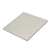 Carreau Uni Gris Neutre Pastel (Côté)