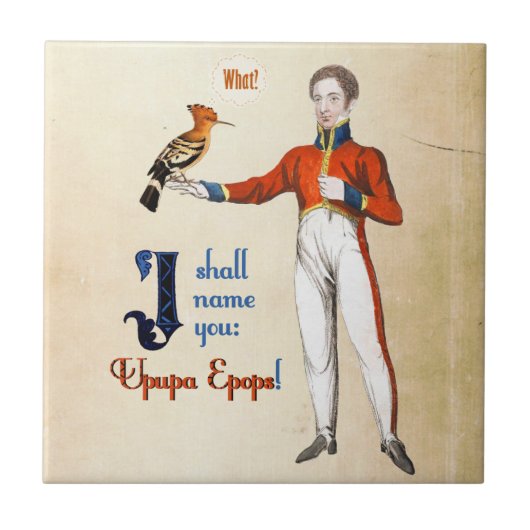 Carreau Upupa Epops (Devant)