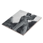 Carreau Uruguay, Montevideo, Barrio Prado, mythologique (Côté)