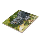 Carreau Uruguay, Montevideo, Colon Area. Bodegas (Côté)